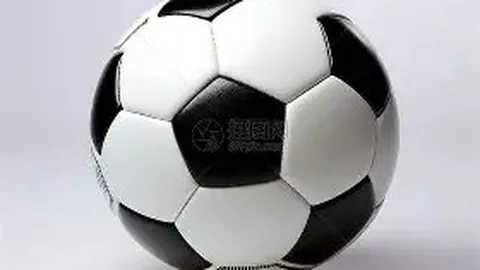 辽篮核心夫妇悄然关闭社交，全力冲刺四冠征程？